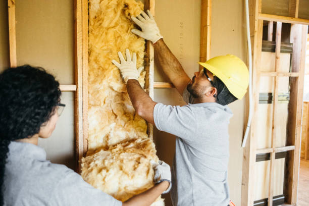 Best Insulation Repair Services  in Mount Pleasant, UT